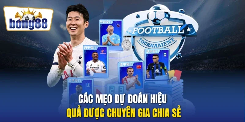 Các mẹo dự đoán hiệu quả được chuyên gia chia sẻ