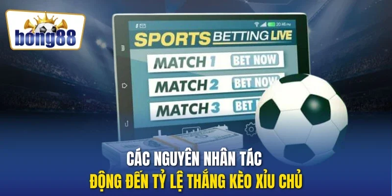 Các nguyên nhân tác động đến tỷ lệ thắng kèo xỉu chủ