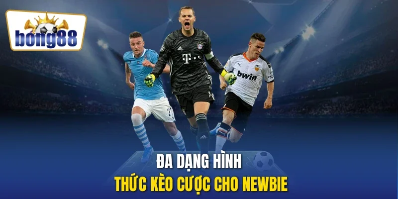 Đa dạng hình thức kèo cược cho Newbie