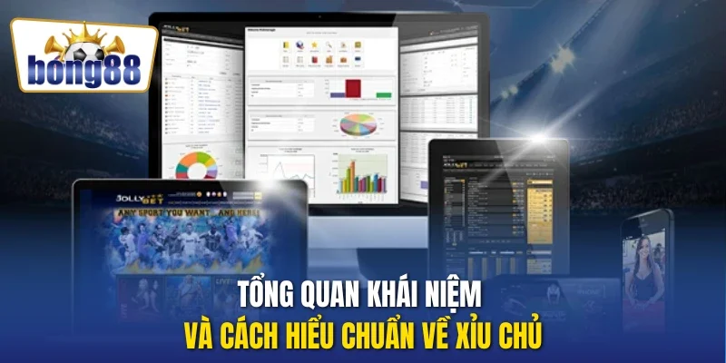 Tổng quan khái niệm và cách hiểu chuẩn về xỉu chủ