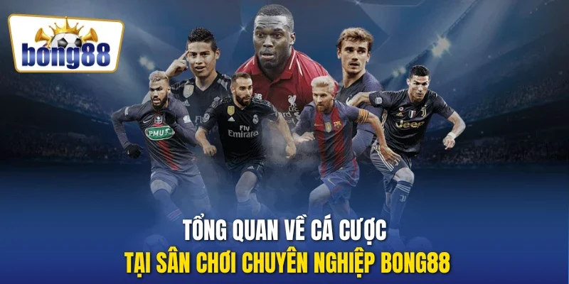 Tổng quan về cá cược tại sân chơi chuyên nghiệp Bong88